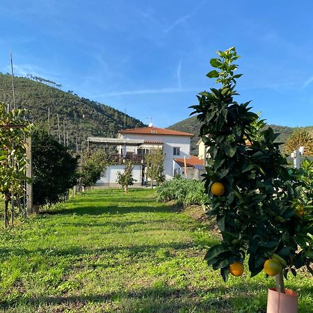 פיזה La Tenuta Di Eva מראה חיצוני תמונה