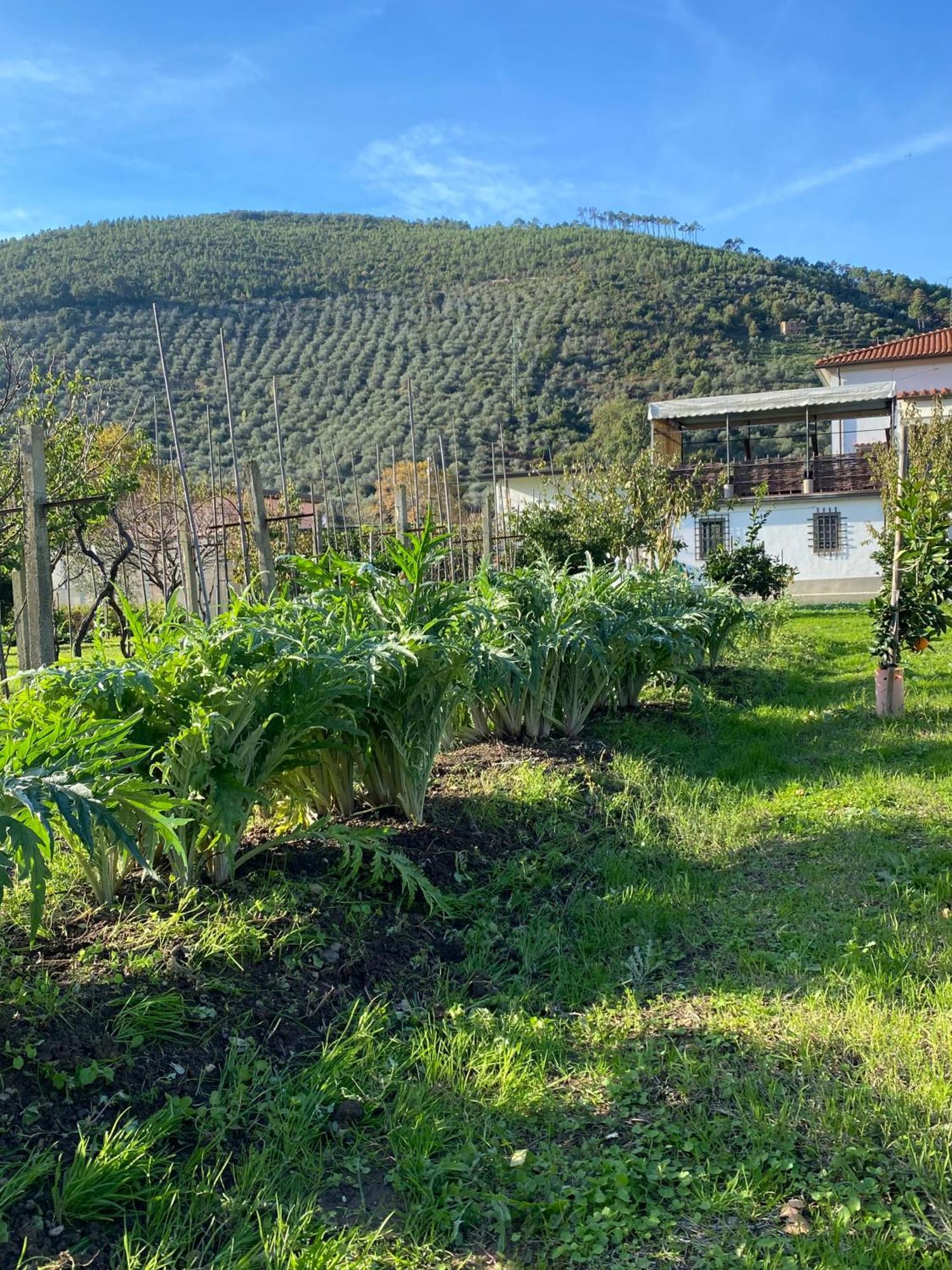 פיזה La Tenuta Di Eva מראה חיצוני תמונה