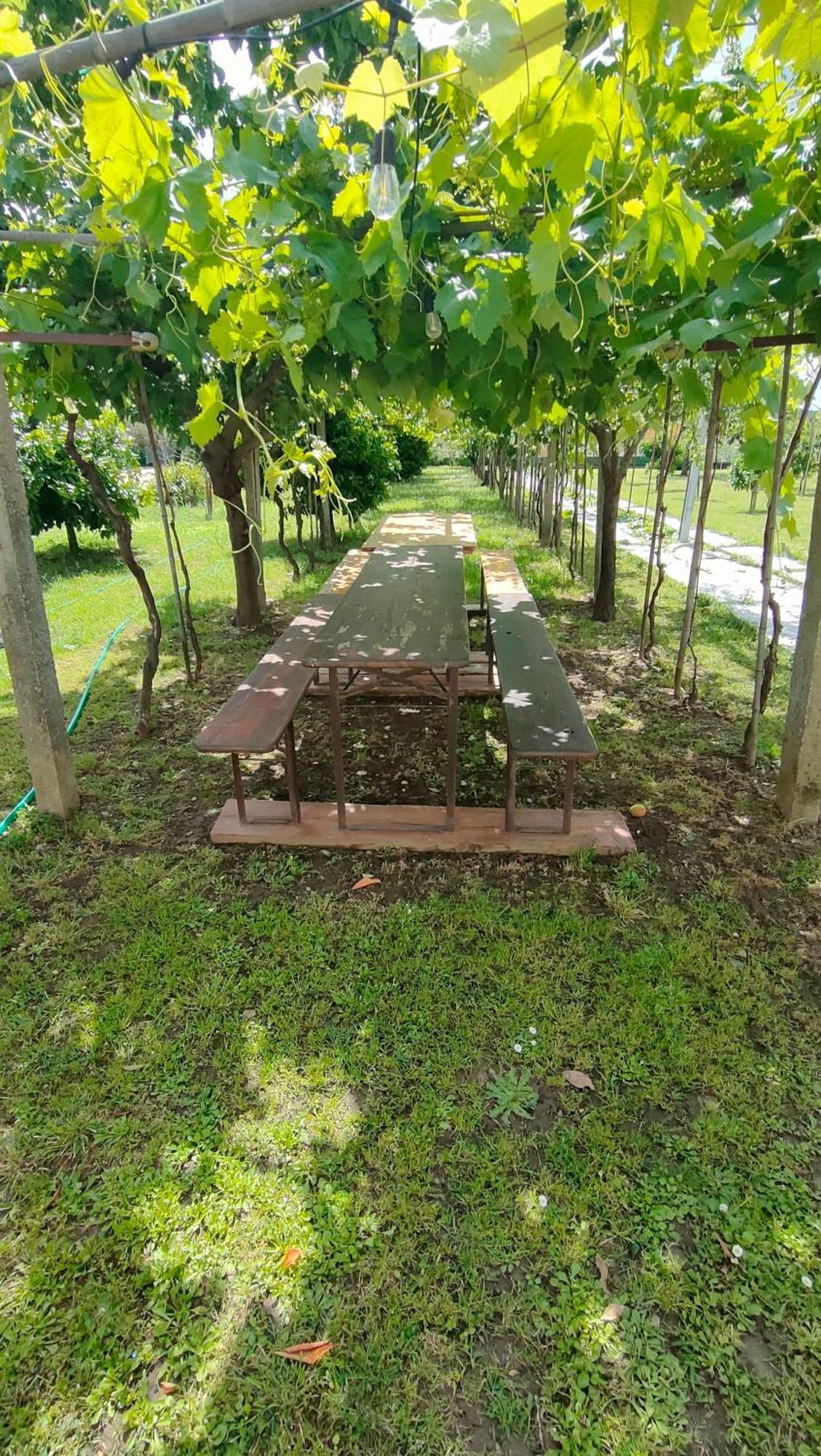 פיזה La Tenuta Di Eva מראה חיצוני תמונה